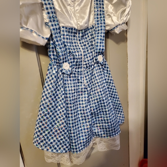 Kids Dorothy Wizard of Oz Costume Dress  size: small - Picture 5 of 8